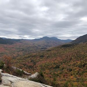 Meet your Posher, Ivy